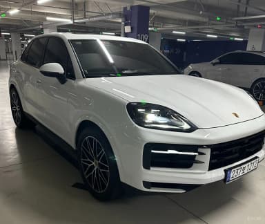 Cayenne (PO536)