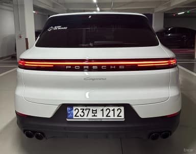 Cayenne (PO536)