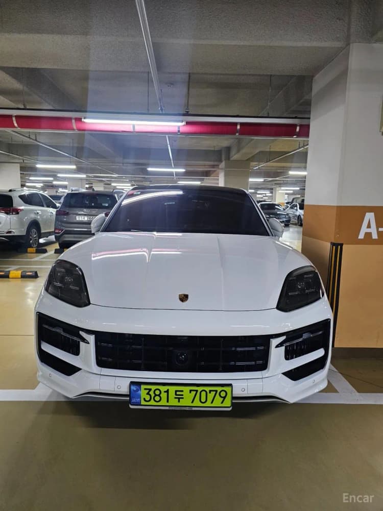 Cayenne (PO536)
