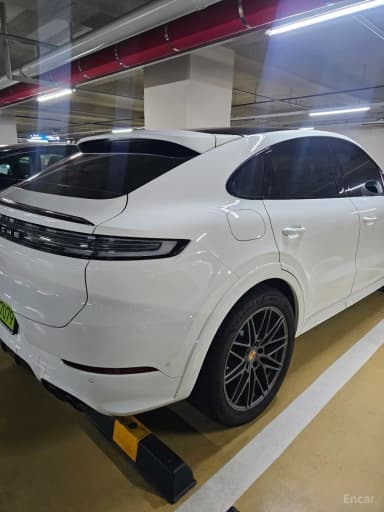 Cayenne (PO536)