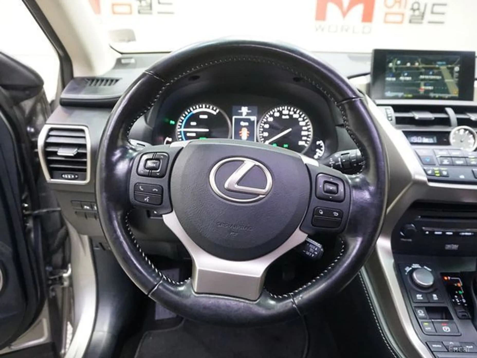 NX300h