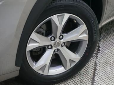 NX300h