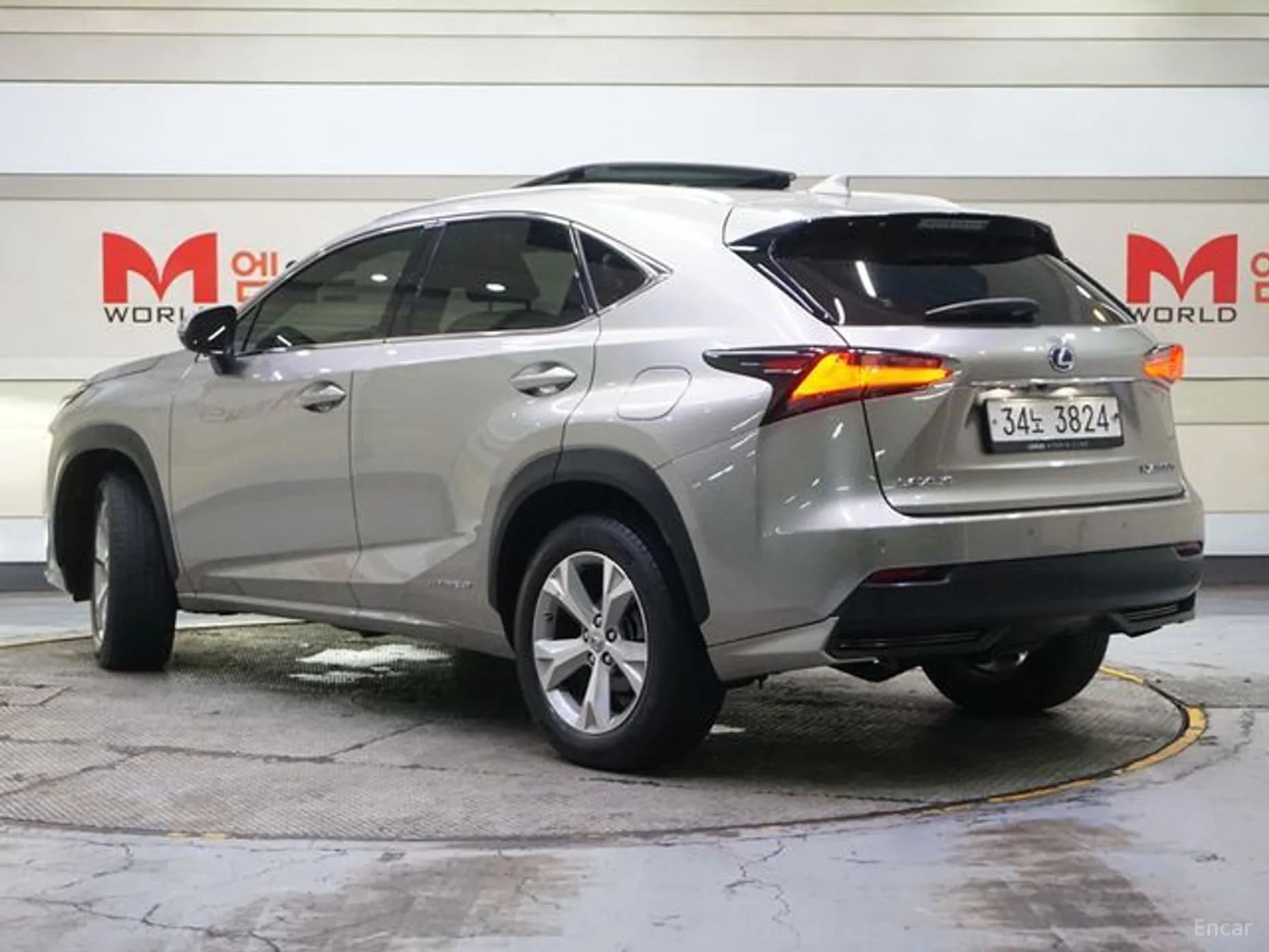 NX300h