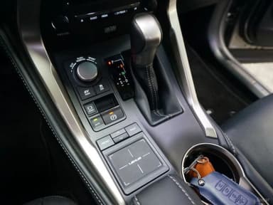 NX300h