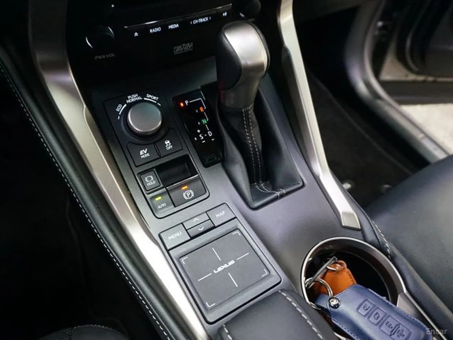NX300h