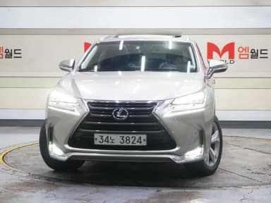 NX300h