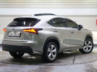 NX300h