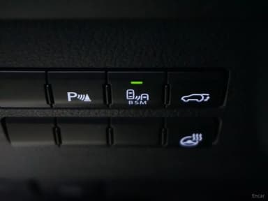 NX300h