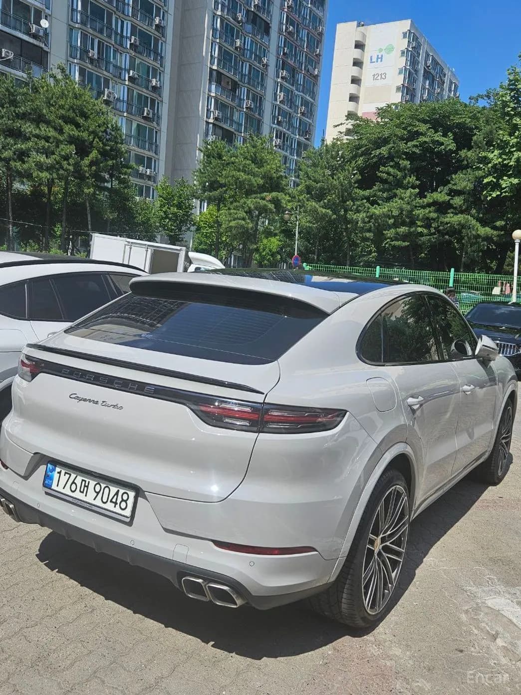 Cayenne (PO536)