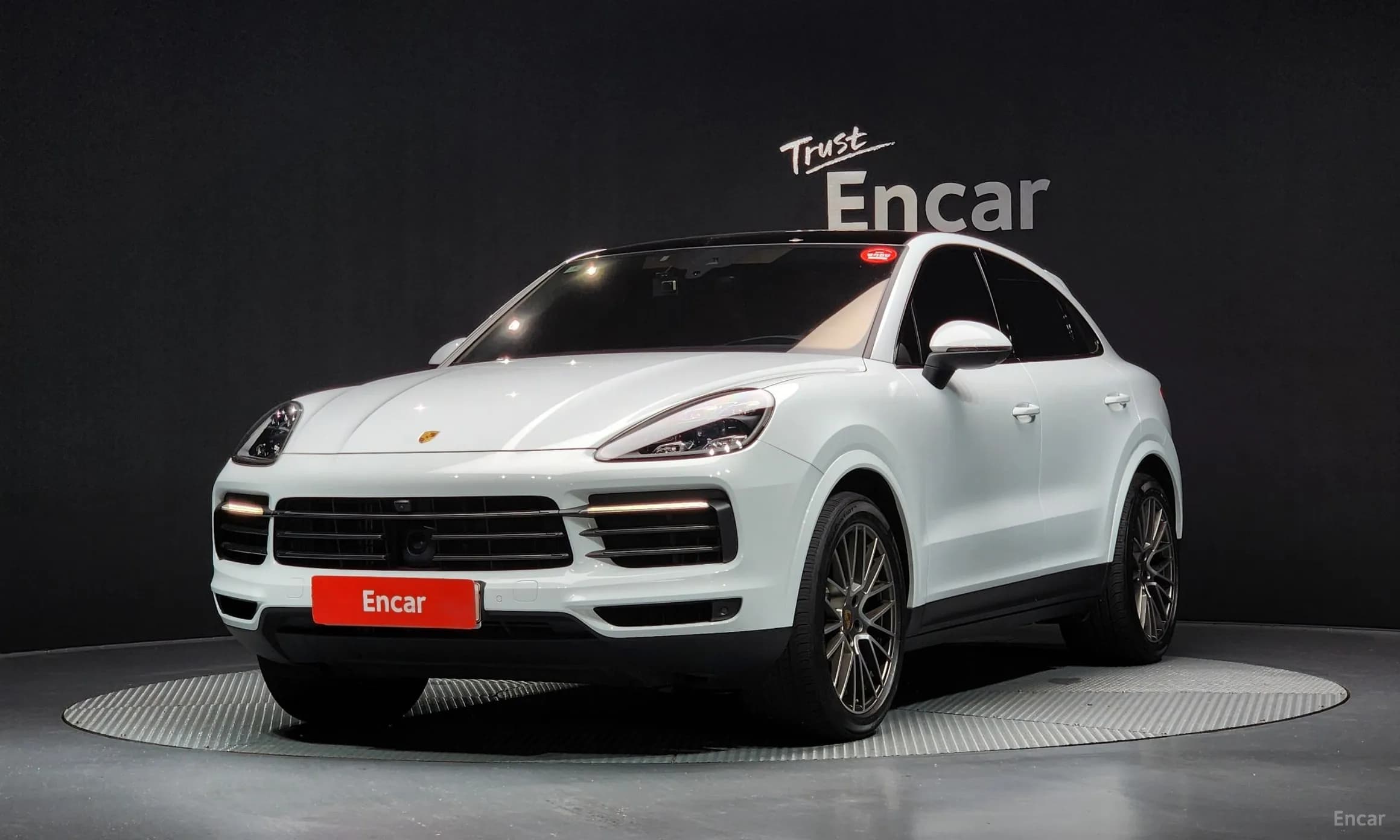 Cayenne (PO536)