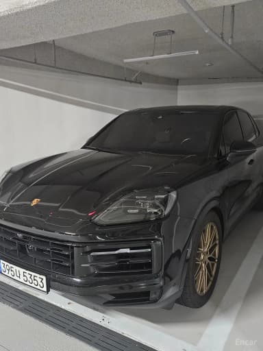 Cayenne (PO536)
