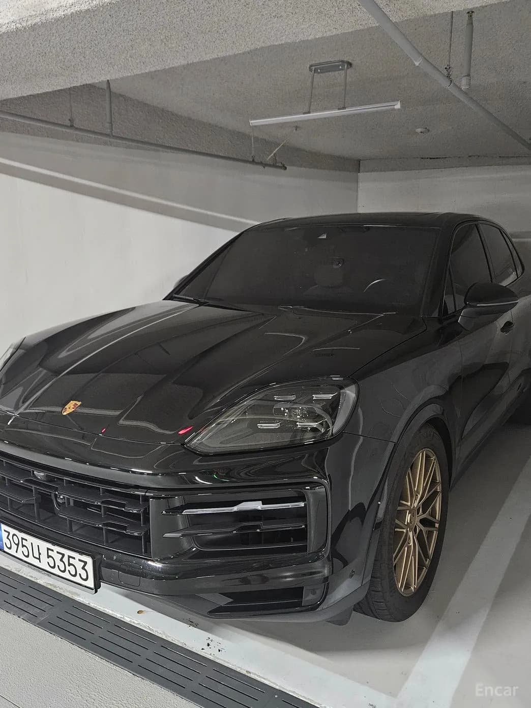 Cayenne (PO536)