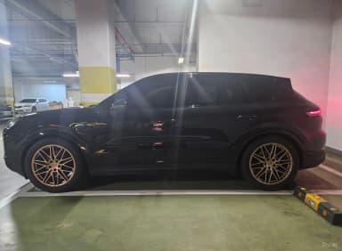 Cayenne (PO536)
