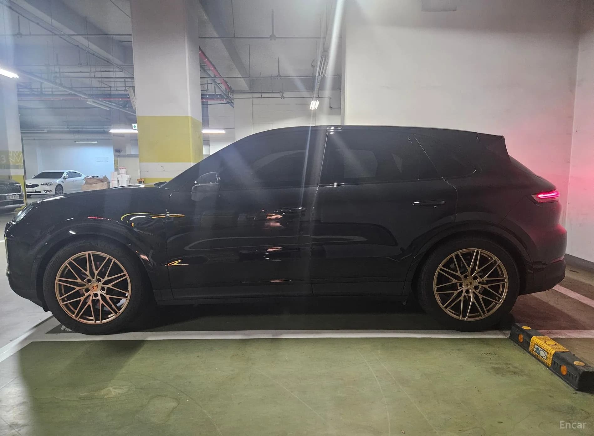 Cayenne (PO536)