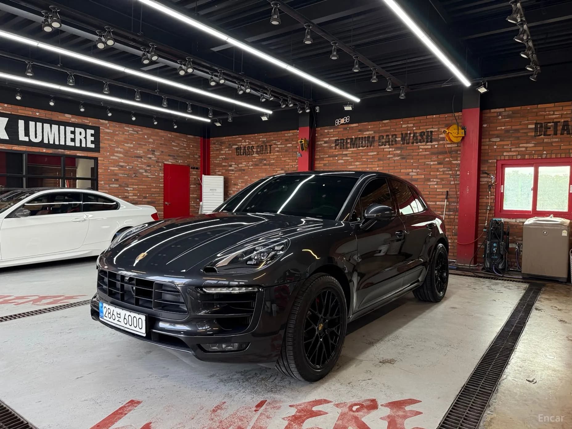 Macan