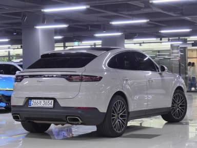 Cayenne (PO536)