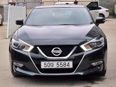 Maxima (A36)