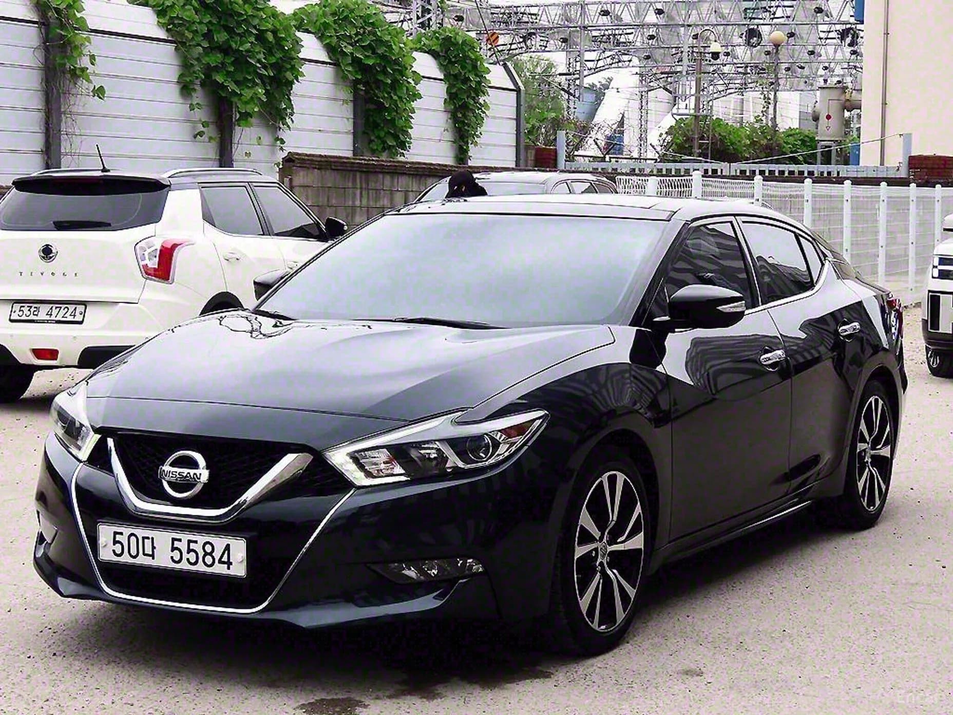 Maxima (A36)