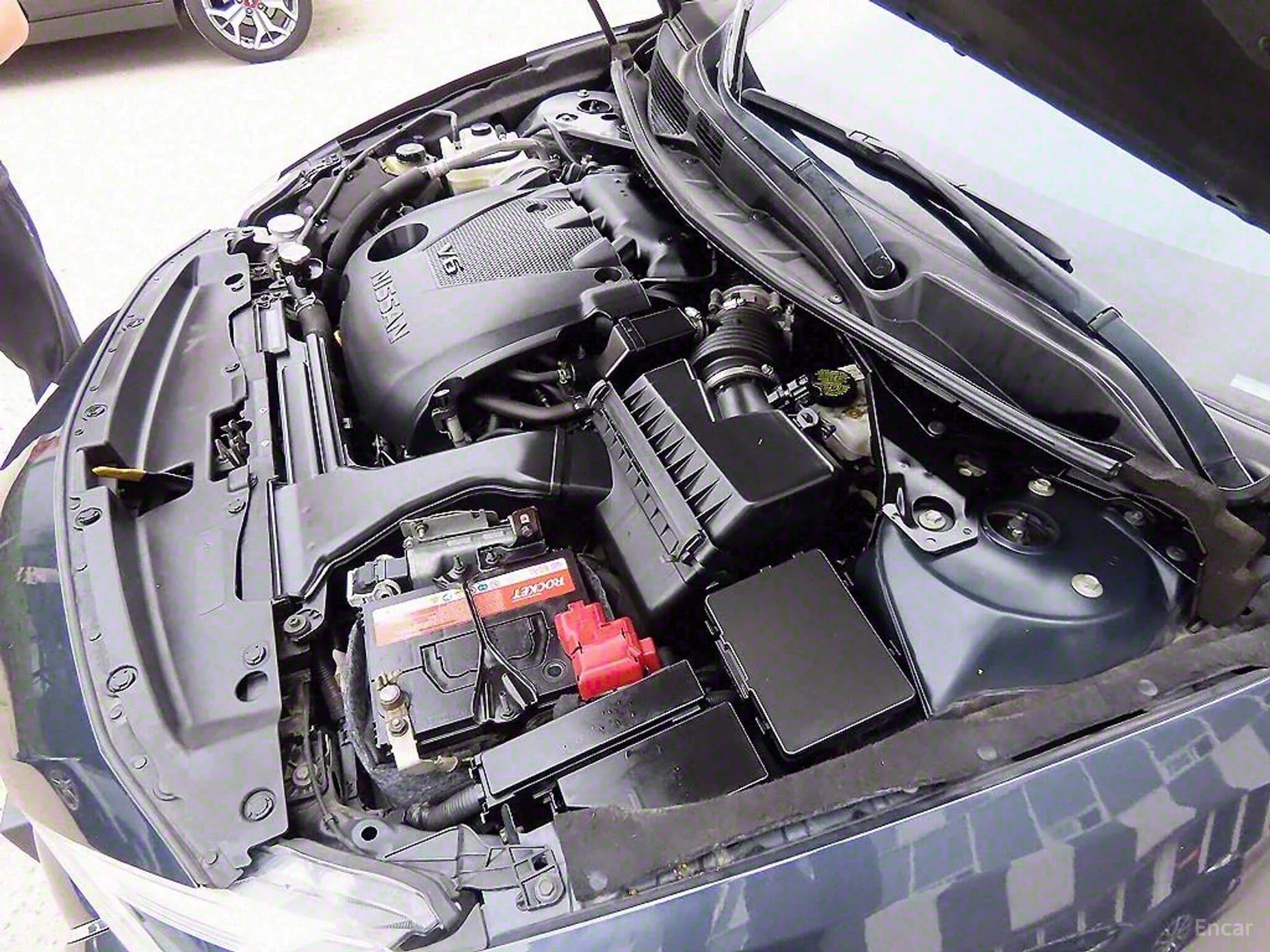 Maxima (A36)