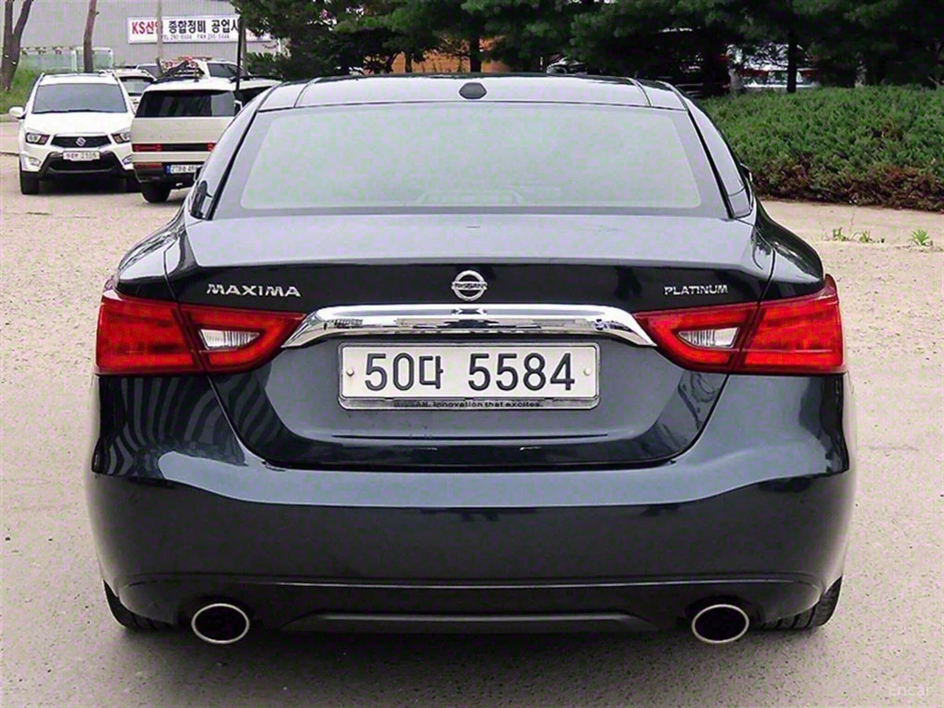 Maxima (A36)