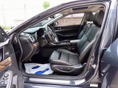 Maxima (A36)
