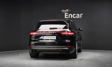 Cayenne (PO536)