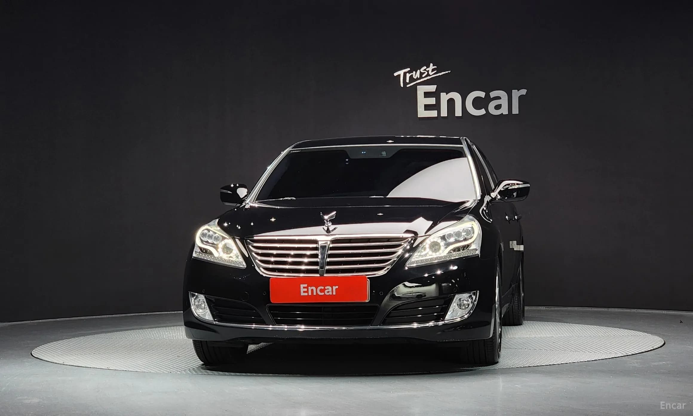 Equus (new)