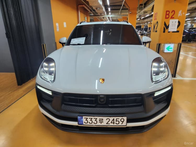 Macan
