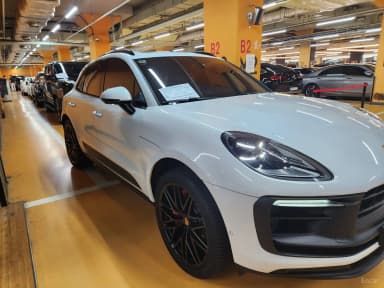 Macan