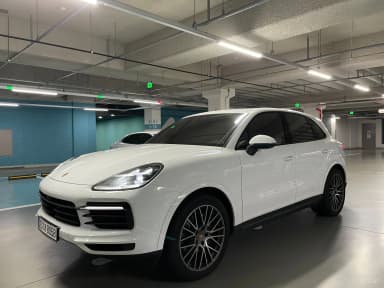 Cayenne (PO536)