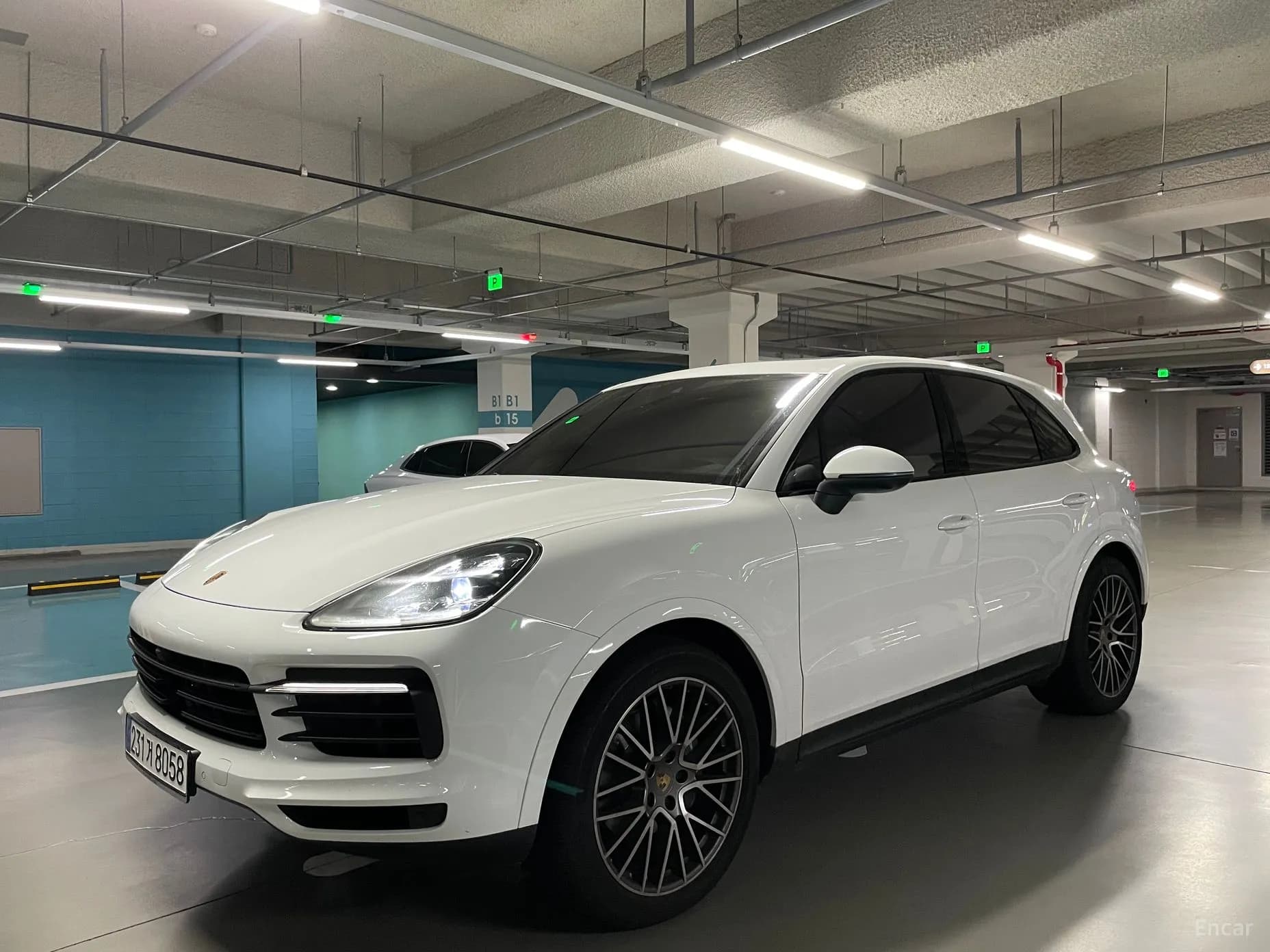 Cayenne (PO536)