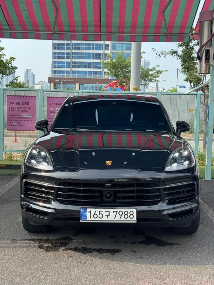 Cayenne (PO536)