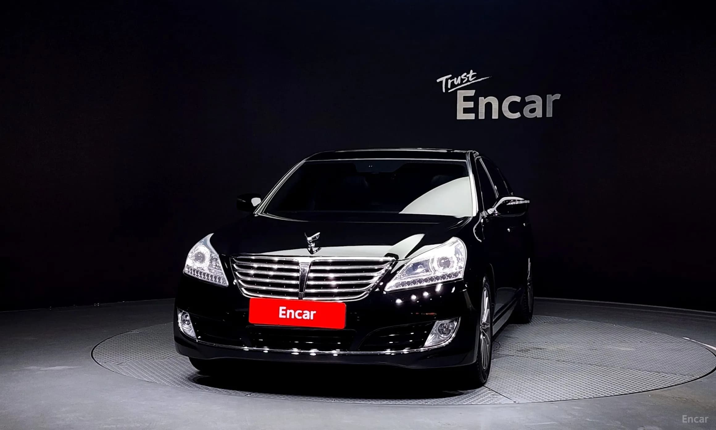 Equus (new)