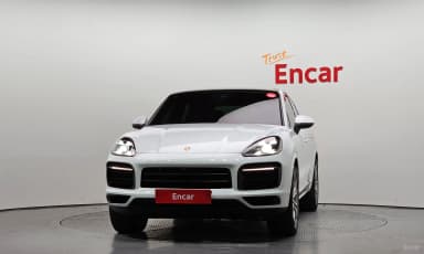 Cayenne (PO536)
