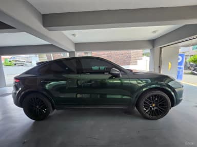Cayenne (PO536)