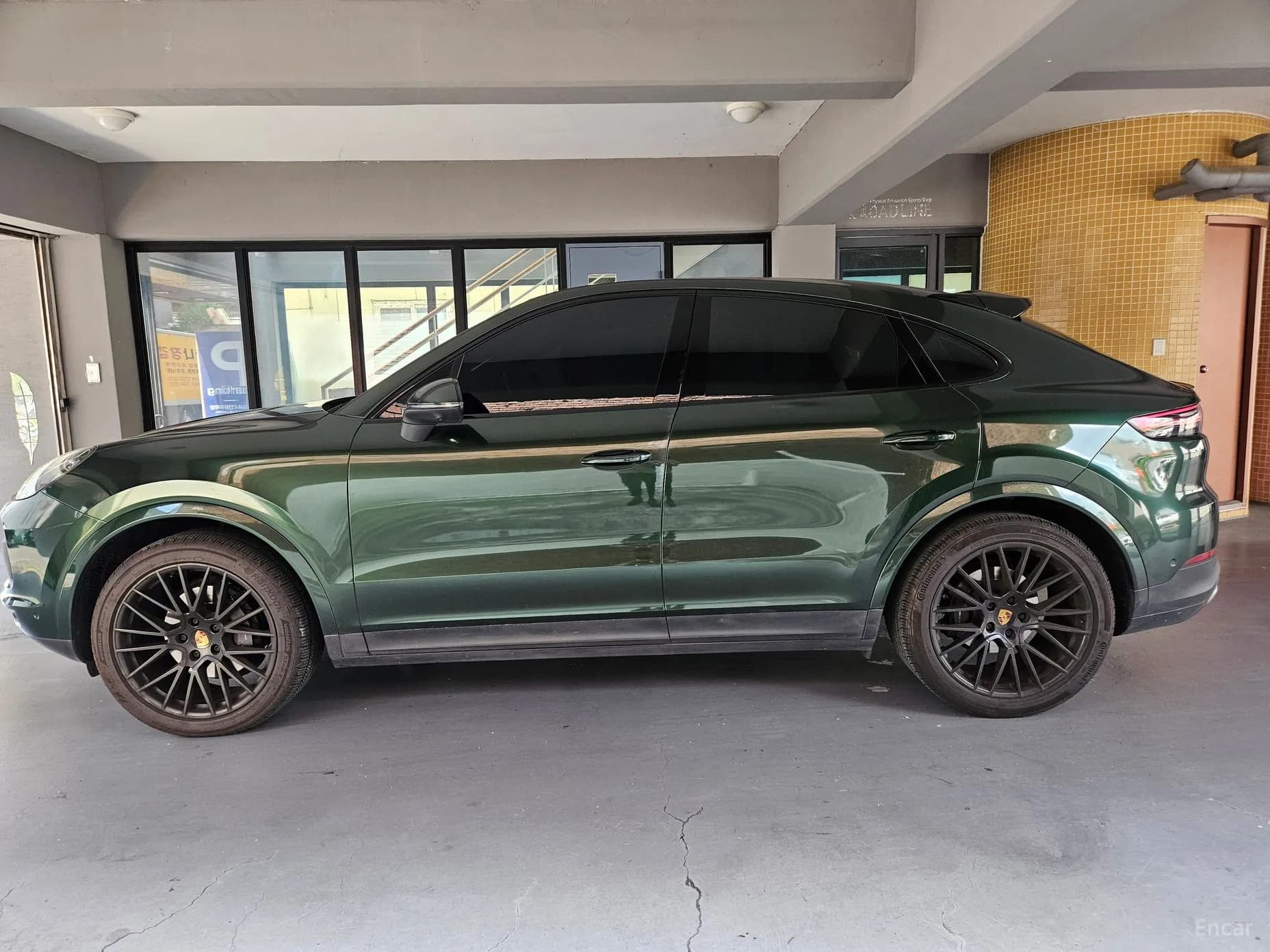 Cayenne (PO536)