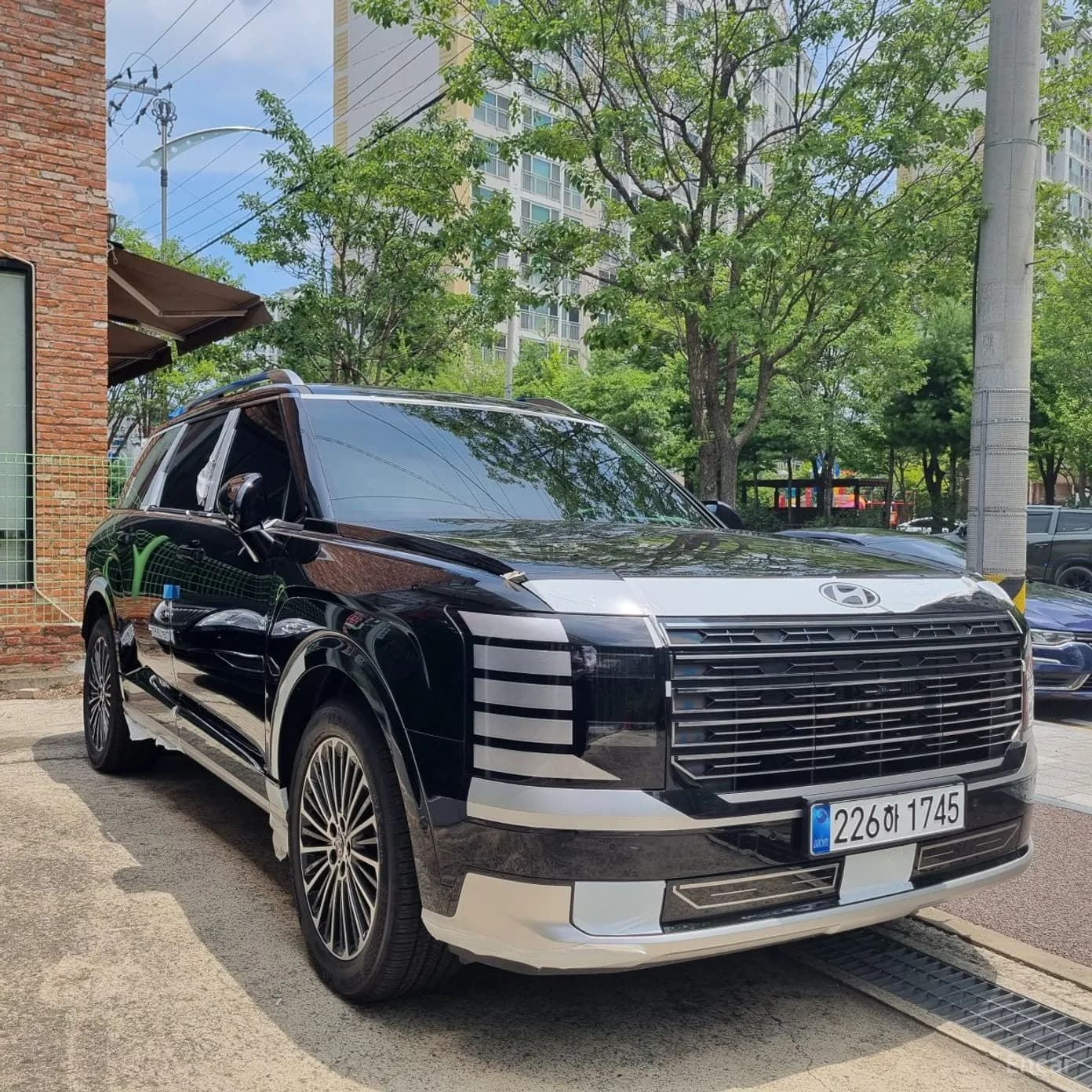 Palisade (LX3)