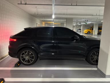 Cayenne (PO536)