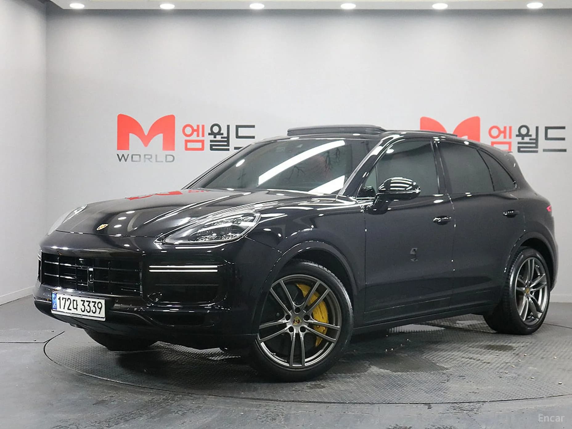 Cayenne (PO536)