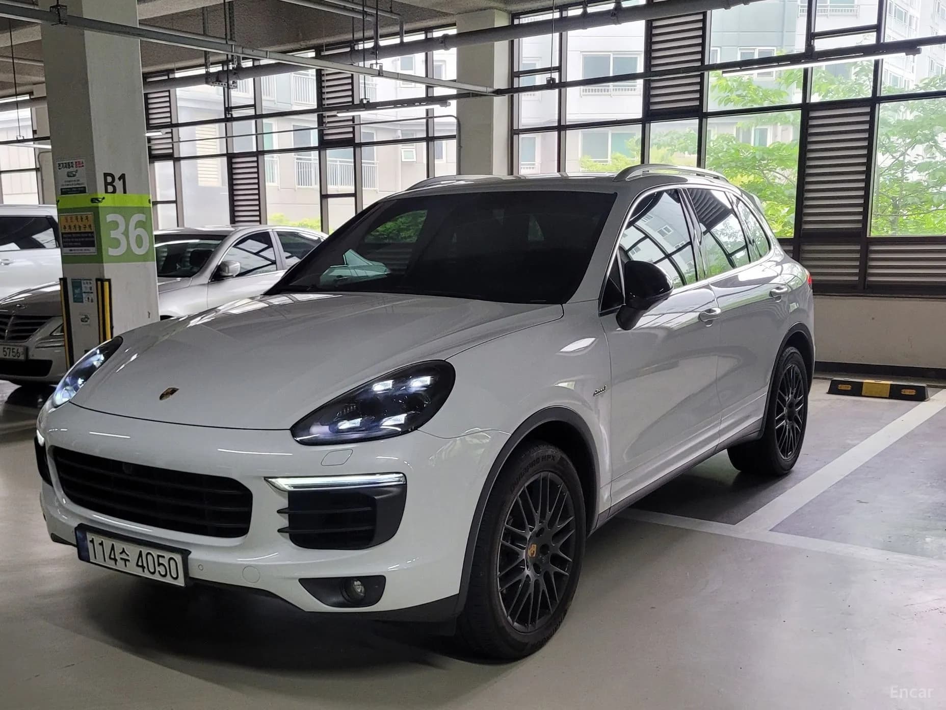 New Cayenne