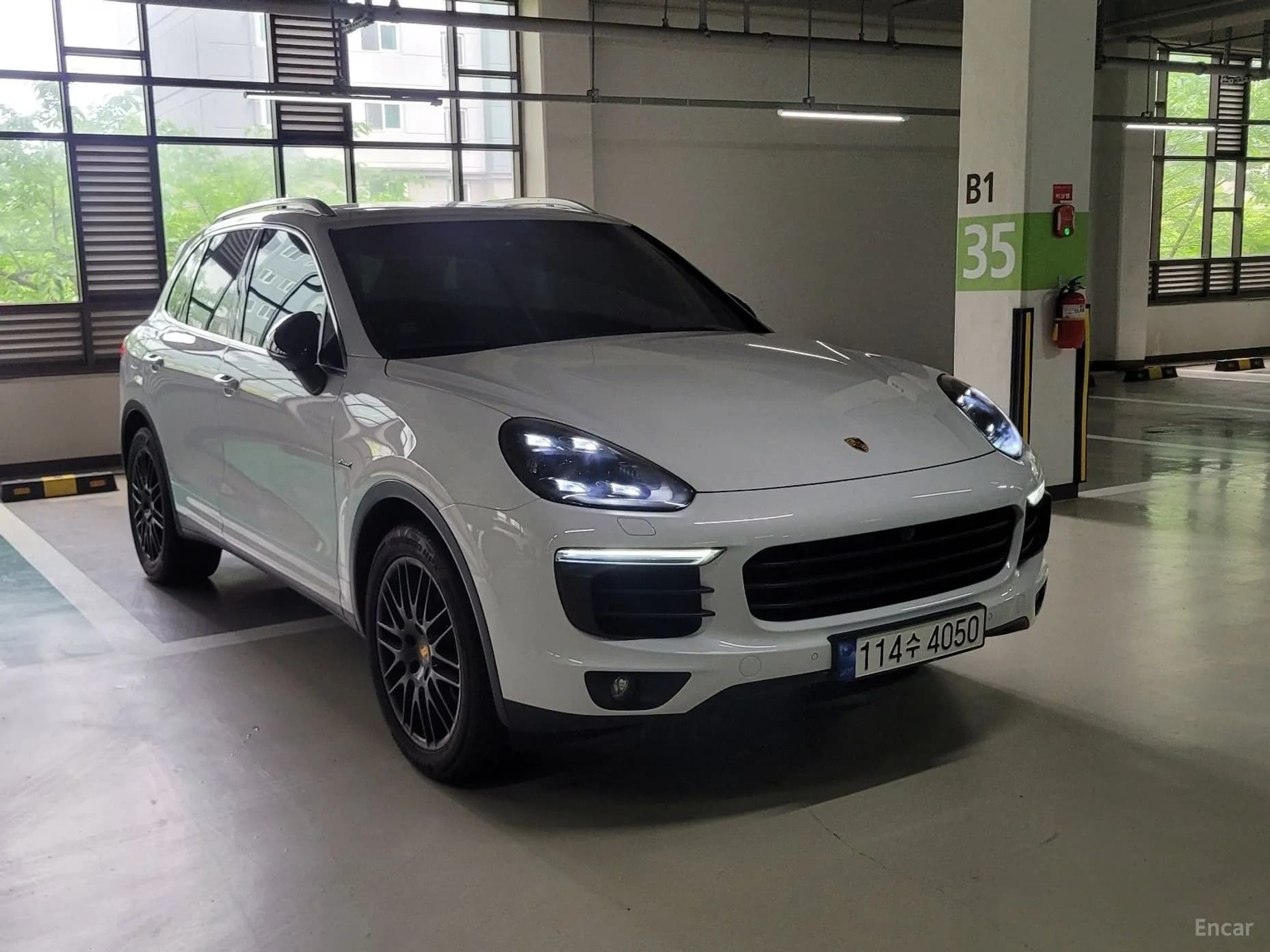 New Cayenne