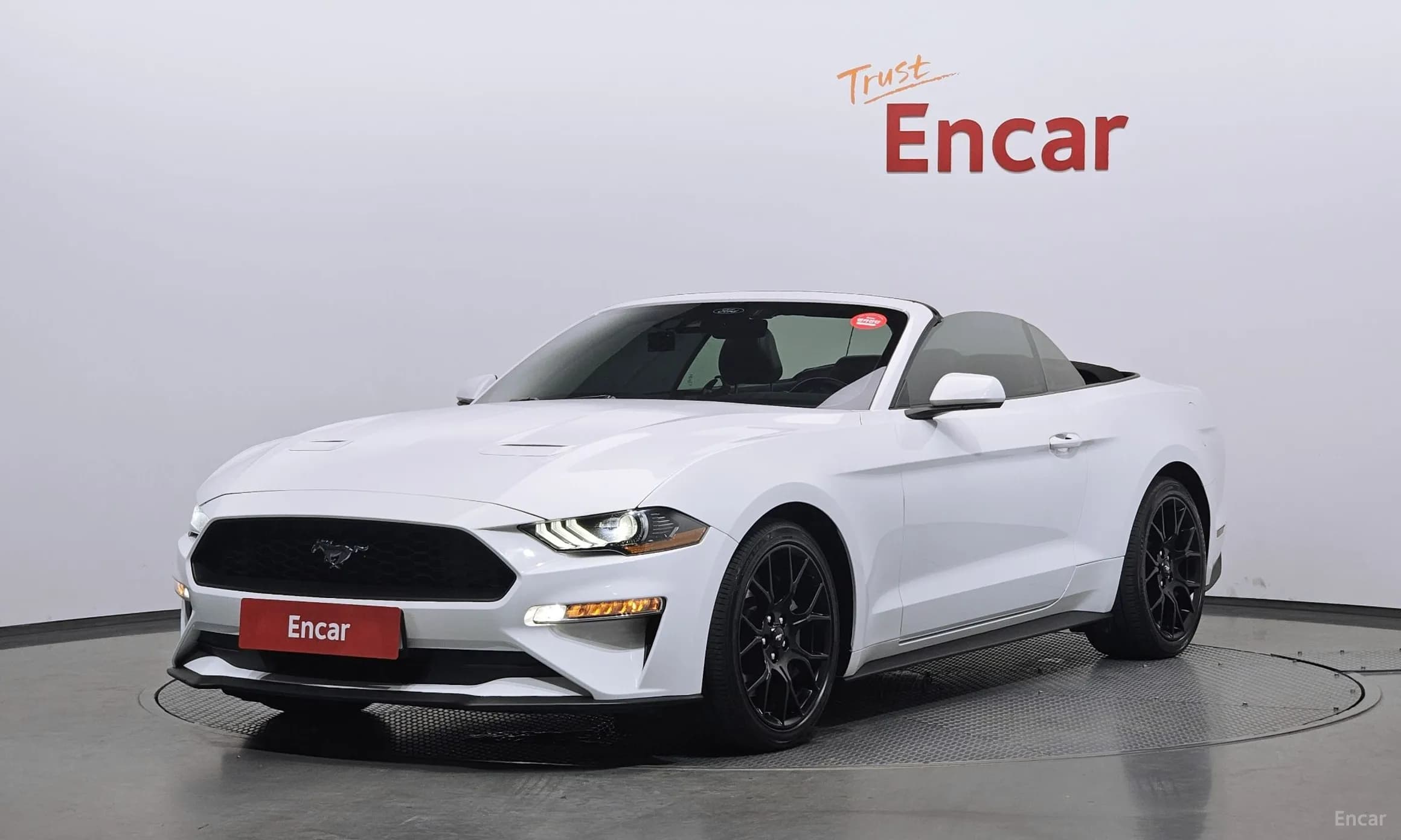 Mustang
