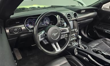 Mustang