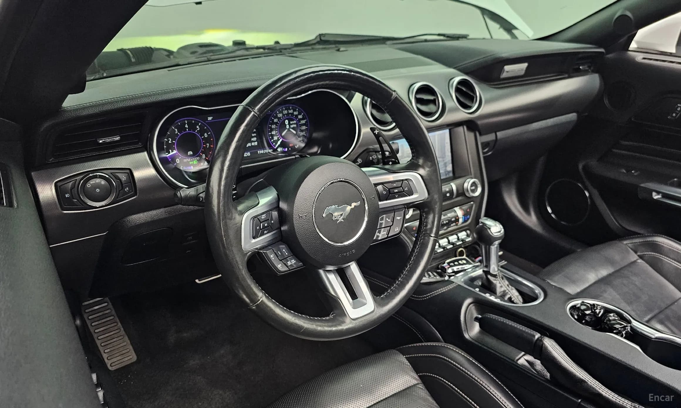 Mustang