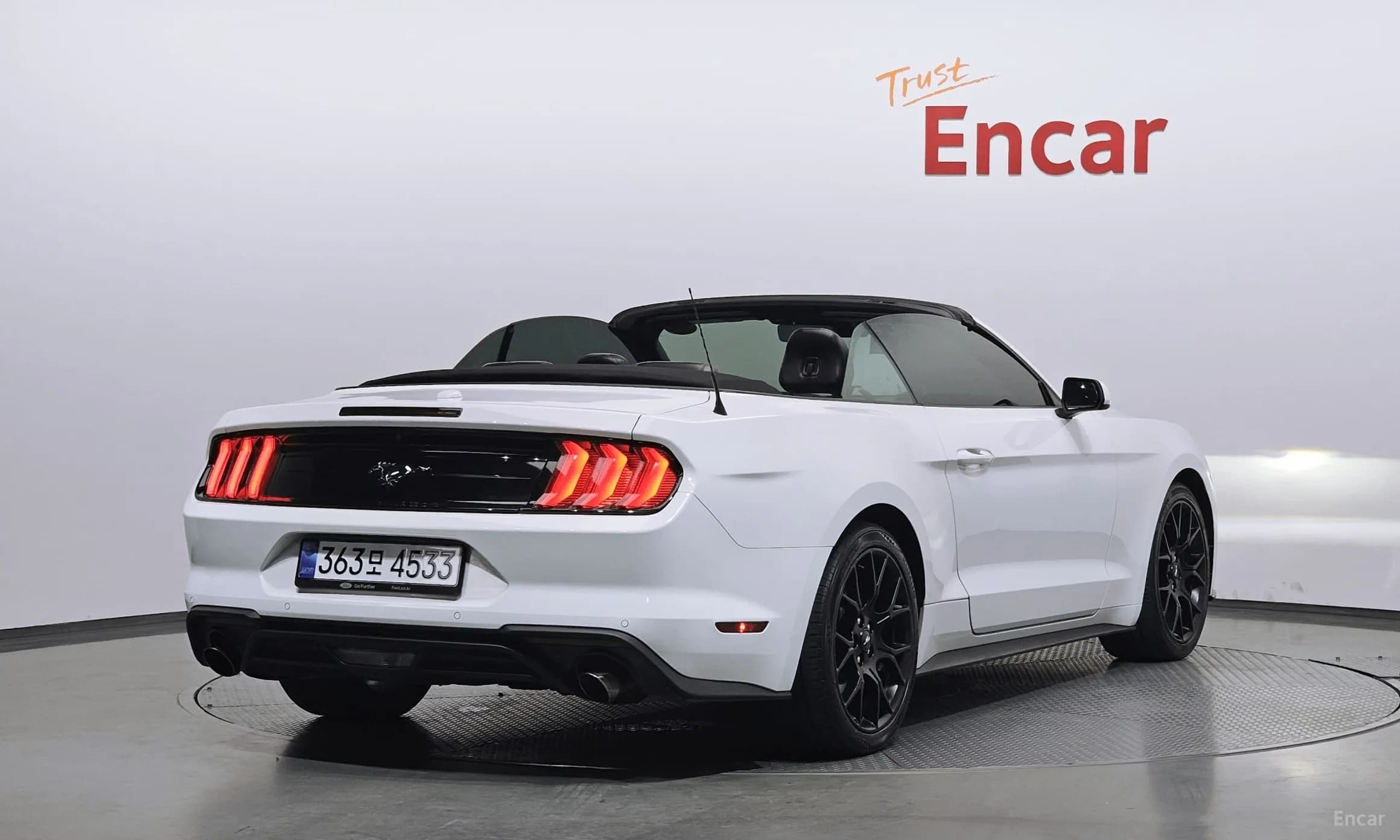 Mustang