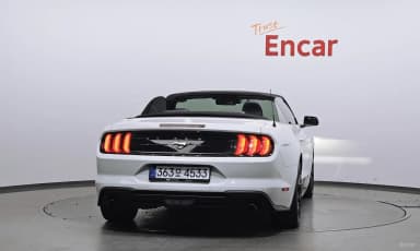 Mustang