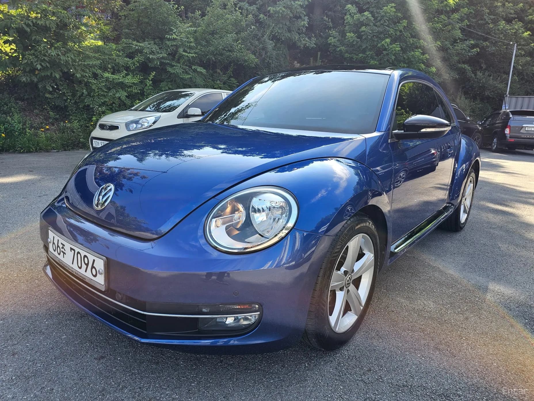 The Beetle