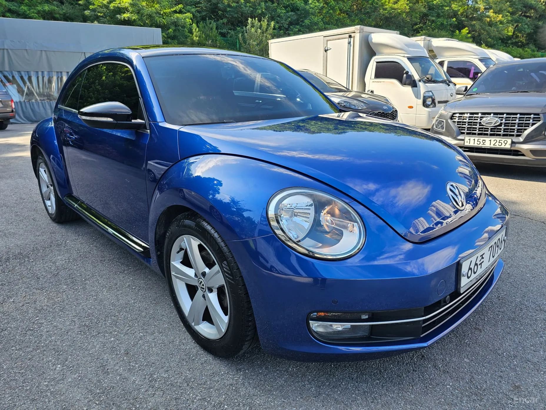 The Beetle