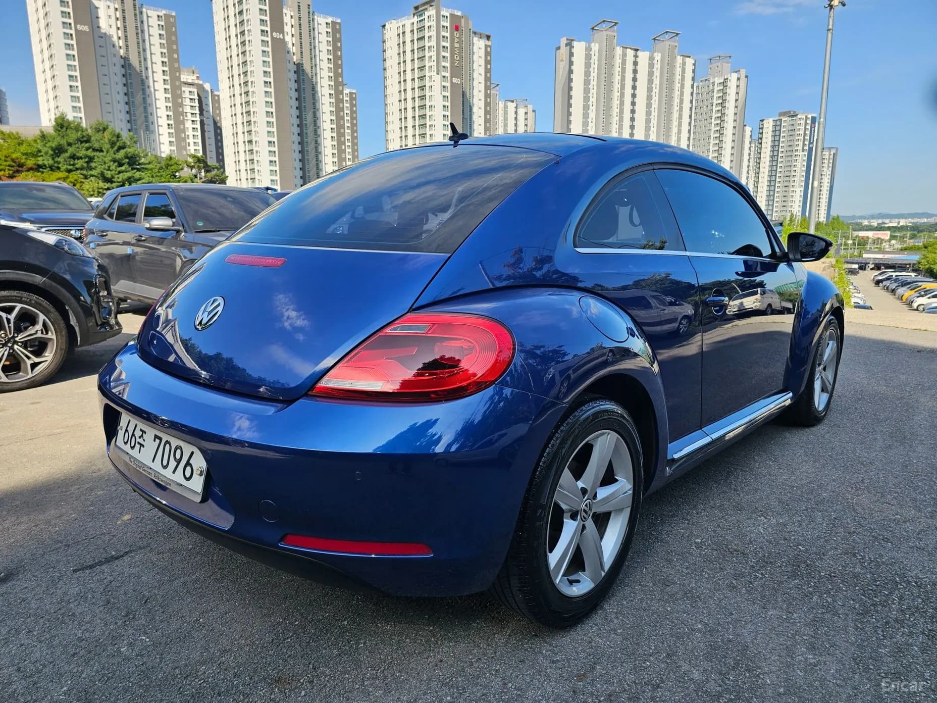 The Beetle