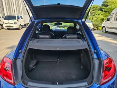 The Beetle